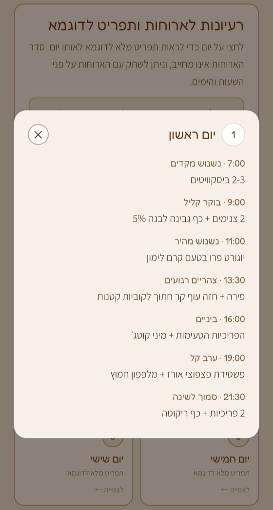 מסך מהמדריך: תפריט מלא לדוגמה ליום שלם, שעה אחר שעה